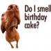 ScaffMag Celebrates it’s 2nd Birthday