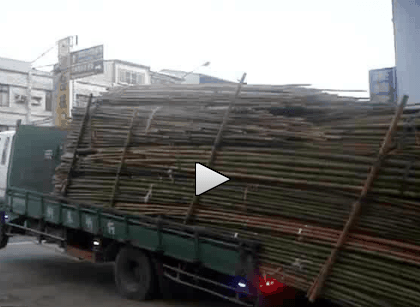 bambootruck