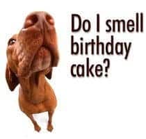 ScaffMag Celebrates it’s 2nd Birthday