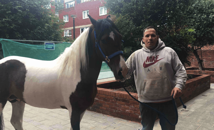 Scaffolder rides horse to work