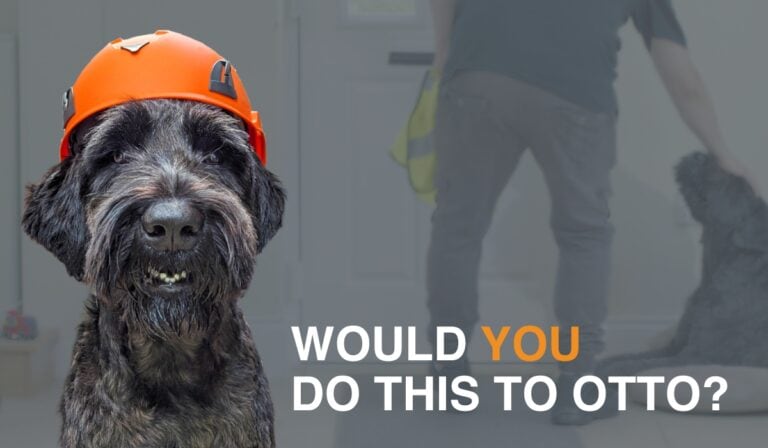 Leach’s Launches Heartfelt Campaign Advocating PPE Importance
