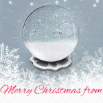 banner_300x250px_generic_christmas_TRAD_2 2