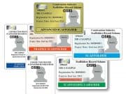 CISRS calls for leniency on recently expired cards